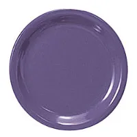 Thunder Group CR110BU - Narrow Rim Round Plate - Purple - 10-1/2" (12 per Case) 