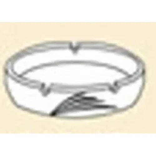 C.A.C. China GAD-AT - Garden State Ashtray - (6 Dozen per Case)