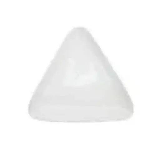 C.A.C. China COP-T21 - Accessories Dinner Plate 12-7/8" - (1 Dozen per Case)