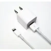 Lightning Cable to USB & Wall Adapter 2 in 1 for iPhone 5 / iPod Touch 5 / iPad Mini Made by Universal [IP5CW2i1]